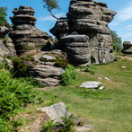 Birmham Rocks 